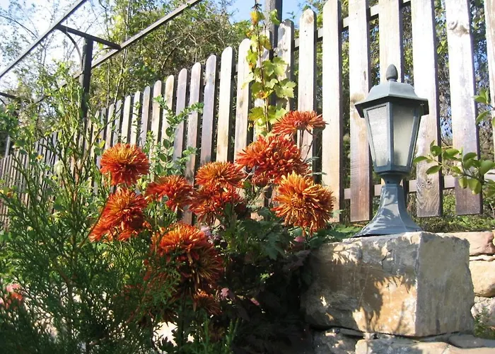 Mostel Hostel Veliko Tarnovo